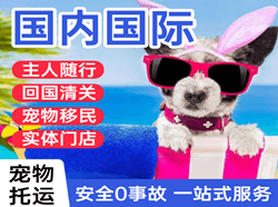 浦东机场托运国际宠物托运 【国